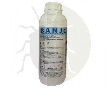 BANJO 500 SC