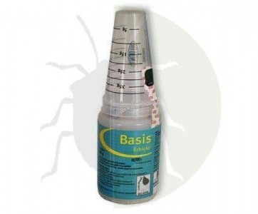 Basis