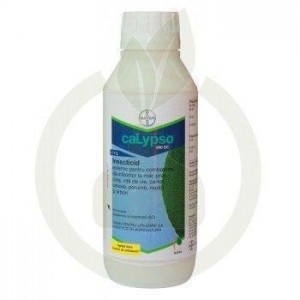 Calypso
